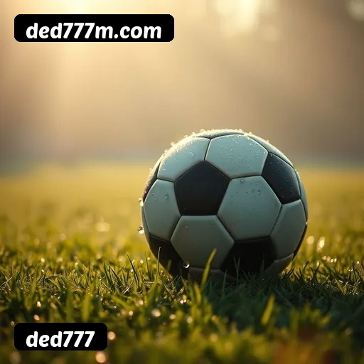 Imagem secundária de apoio para instalação do app ded777